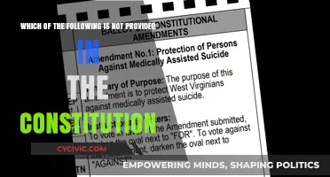 The Constitution: What's Missing?