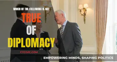 The Art of Diplomacy: Uncovering False Narratives