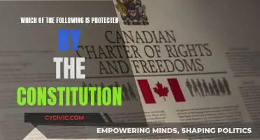 The Constitution's Protective Shield: What Does It Cover?