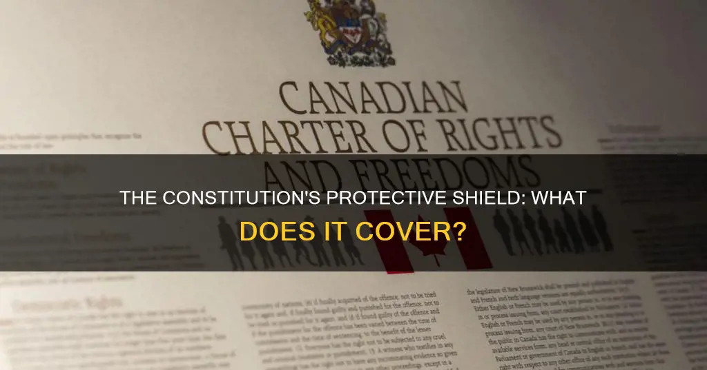 which of the following is protected by the constitution