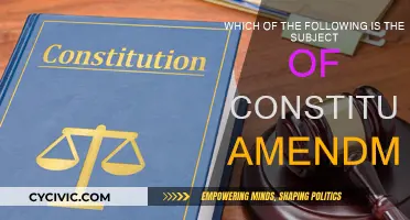 Amending the Constitution: What's the Subject?