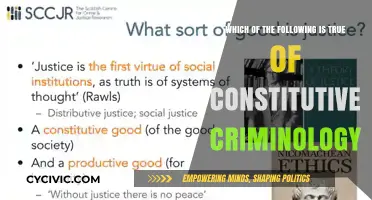 Criminology's Constitutive Nature: Understanding Crime's True Roots