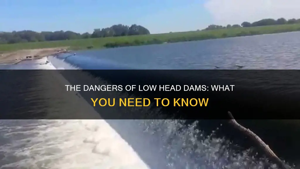 which of the following is true regarding low head dams