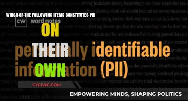 Protecting Personal Identifiable Information: What Constitutes PII?
