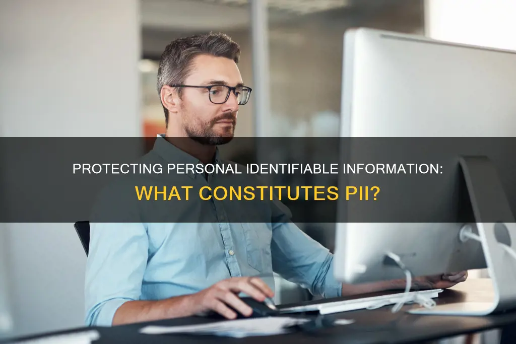 which of the following items constitutes pii on their own