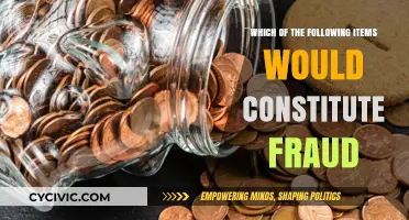 Identifying Fraud: What Constitutes Fraudulent Activity?