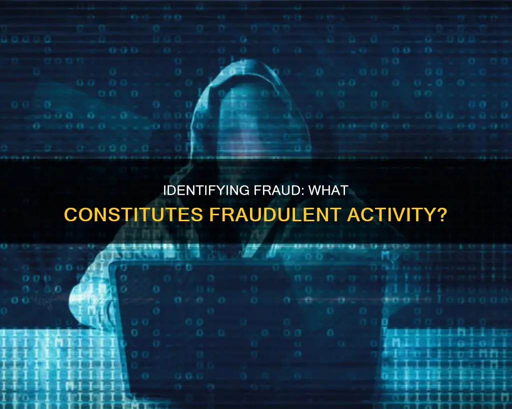 which of the following items would constitute fraud