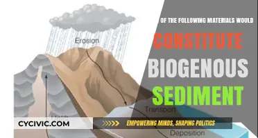 Sediment Secrets: Biogenous Materials Revealed