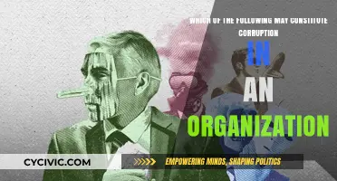 Signs of Corruption in an Organization