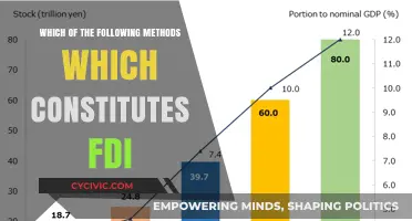 FDI: Exploring the Different Methods and Their Impact