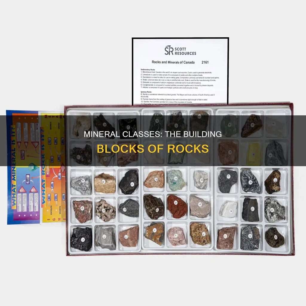 which of the following mineral classes constitutes the rock-forming minerals