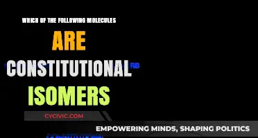 Identifying Constitutional Isomers: A Molecular Mystery