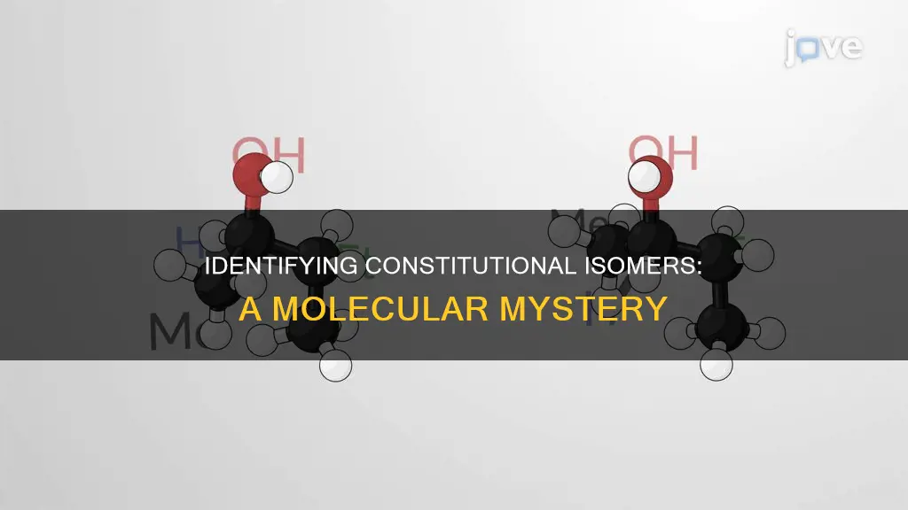 which of the following molecules are constitutional isomers