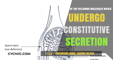 Secretion Pathways: Molecules and Their Journey