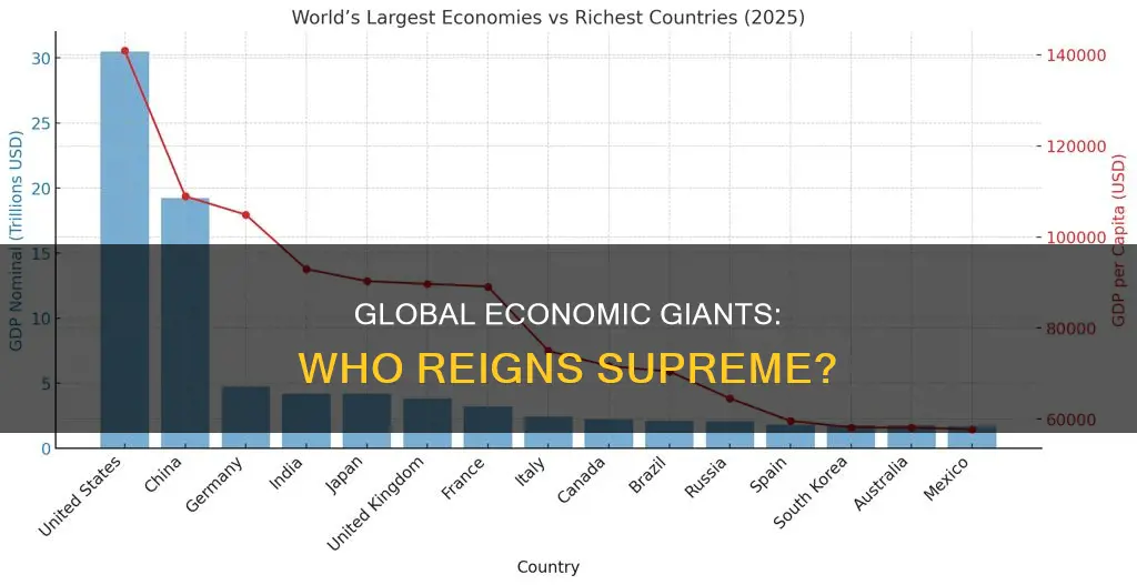 which of the following organizations constitutes the world