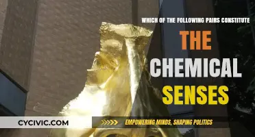 The Complex World of Chemical Senses: Unlocking the Power of Perception