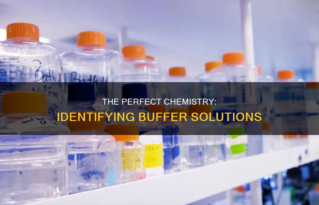 which of the following pairs constitutes a buffer