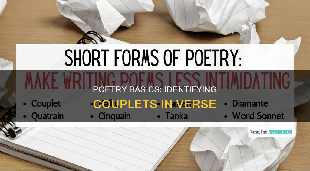 which of the following pairs of lines constitute a couplet