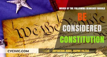 What Searches Should Be Considered Constitutional?
