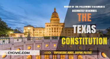 Texas Constitution: What Does it Truly Represent?