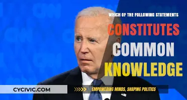 What Everyone Knows: Common Knowledge Explained