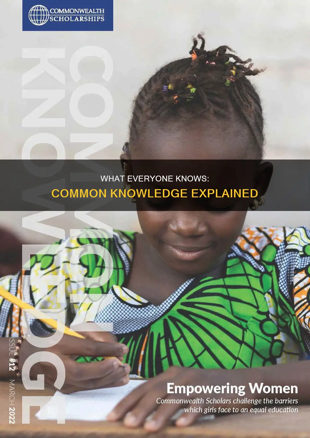 which of the following statements constitutes common knowledge