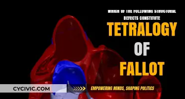 Defining Structural Defects in Tetralogy of Fallot