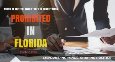 Florida's Constitution: Understanding Prohibited Taxes