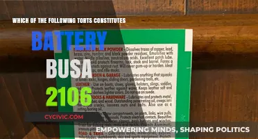 Understanding Battery: Torts and Their Legal Consequences