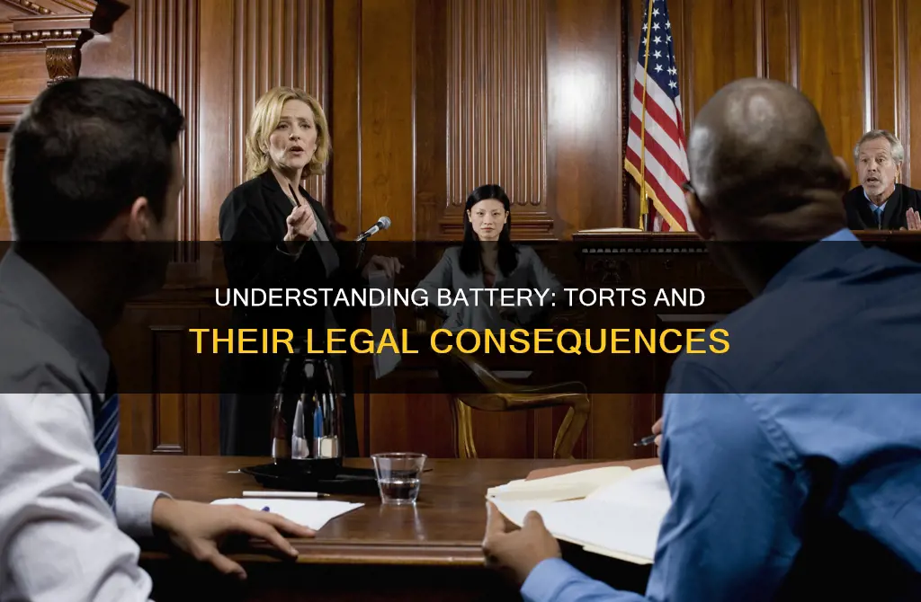 which of the following torts constitutes battery busa 2106