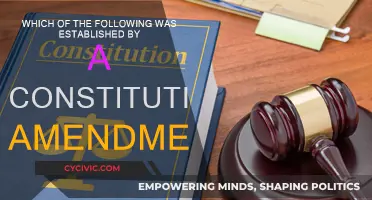 Amendments: The Foundation of Our Constitutional Rights