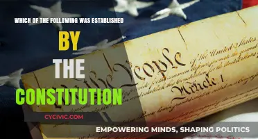 Foundations of Our Nation: Constitutional Establishments