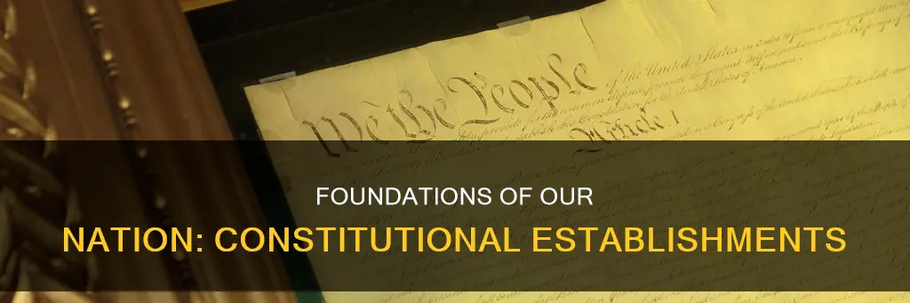 which of the following was established by the constitution
