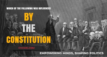 The Constitution's Influence: A Historical Overview