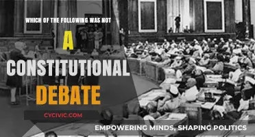 What Was Not a Constitutional Debate?