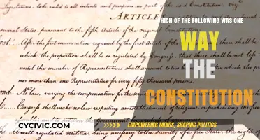 Founding Fathers' Vision: The Constitution's Power