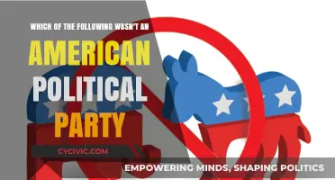 Unveiling the Non-American Political Party: A Historical Mystery Explored