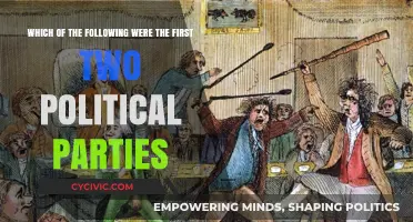 The Birth of Political Parties: Unveiling the First Two Factions