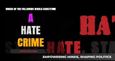 Understanding Hate Crime: What Actions Constitute Offenses?