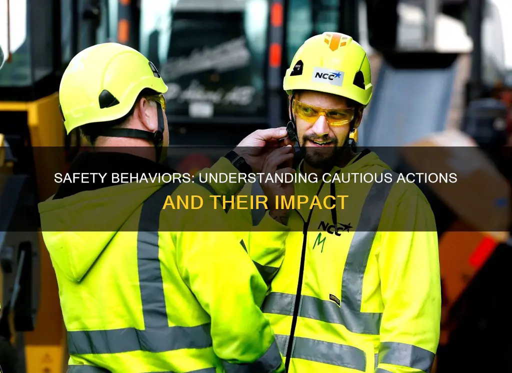 which of the following would constitute a safety behavior