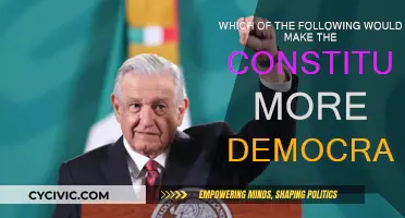 Making the Constitution More Democratic: Key Strategies