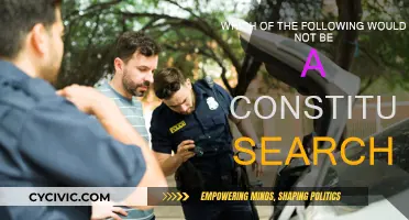 What Constitutes an Unconstitutional Search?