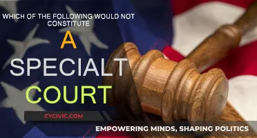 Specialty Courts: Understanding Their Unique Nature and Purpose