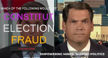 Election Fraud: What Doesn't Count and Why?