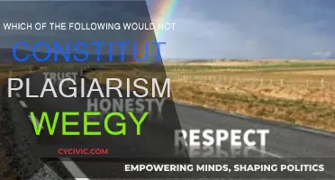 Understanding Plagiarism: What Not to Do