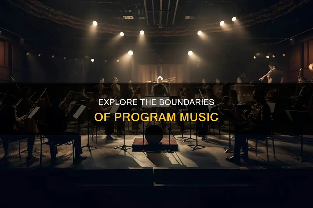 which of the following would not constitute program music