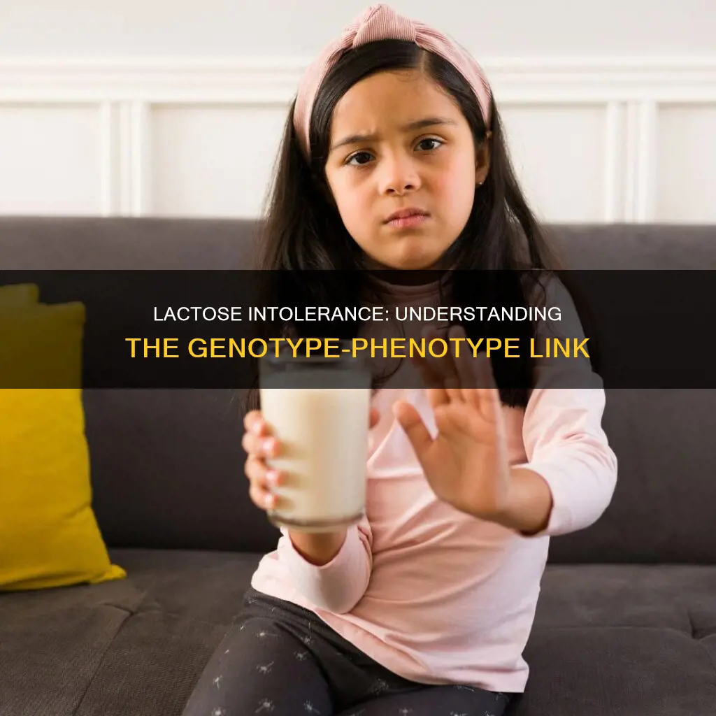 which of the genotypes produces functional lactose permease constitutively