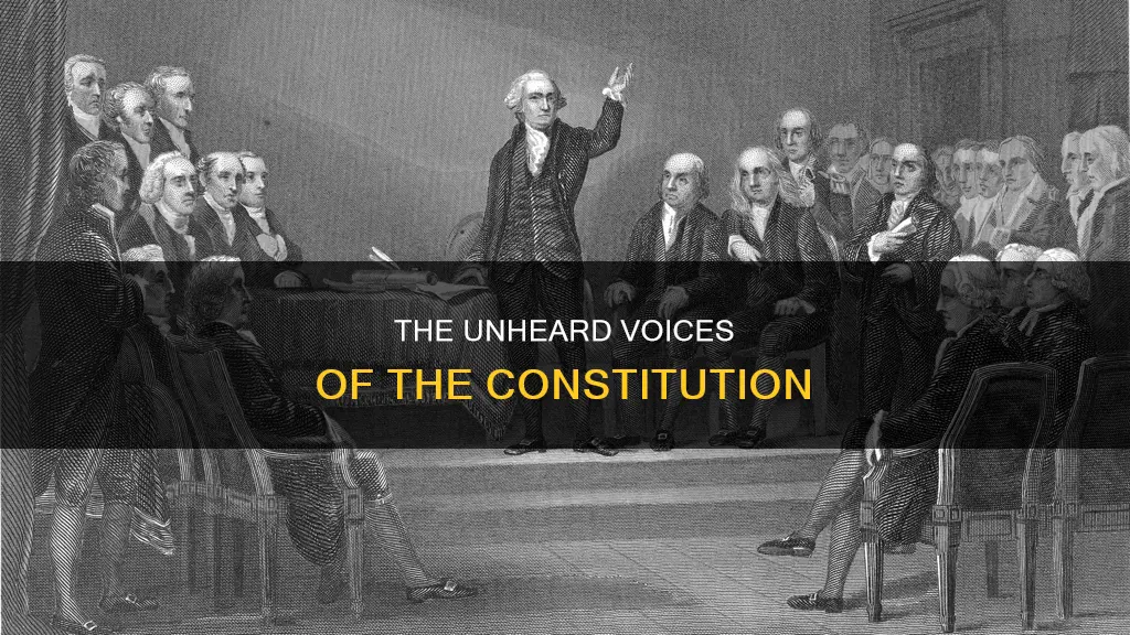 which of the groups were not represented at the constitutional