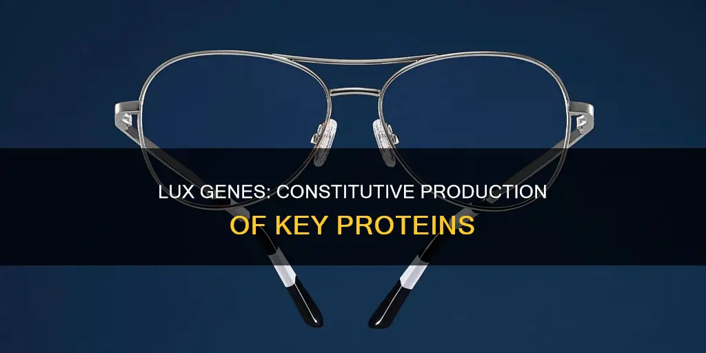 which of the lux gene products must be constitutively produced