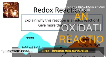 Understanding Oxidation: Reactions and Their Nature